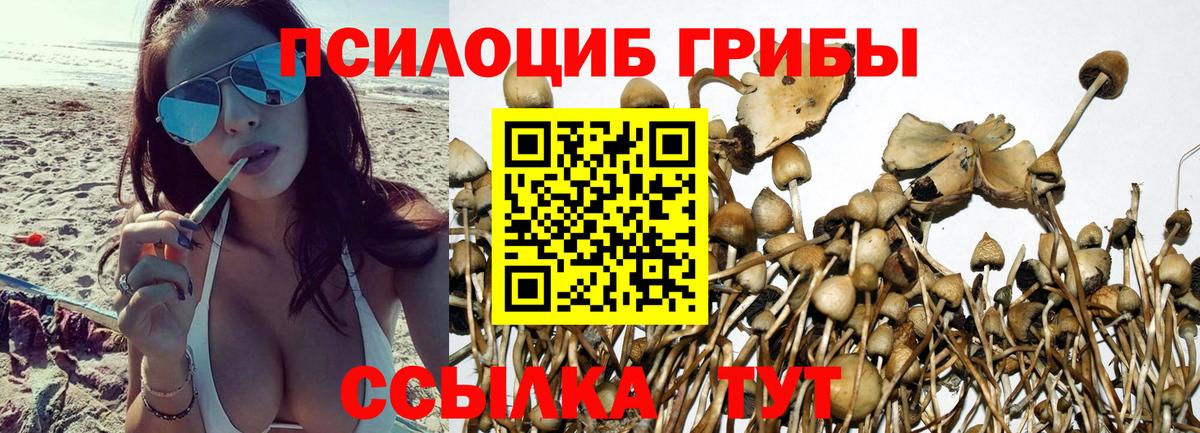 Экстази  МАРИХУАНА  Вход с VPN  Бузулук  Меф кристаллы  Cocaine  ГАШ 