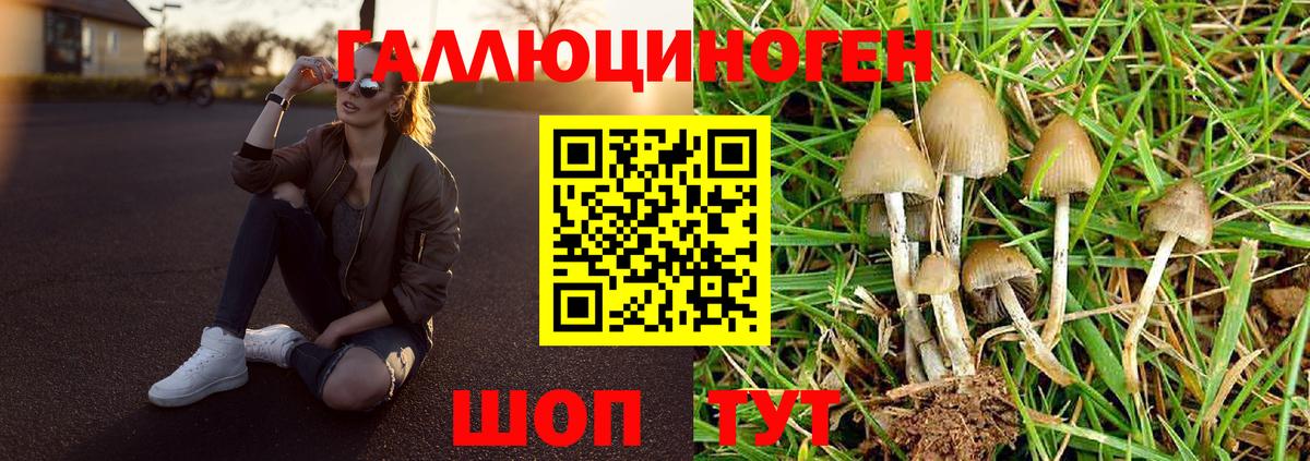 Псилоцибиновые грибы мухоморы Бузулук