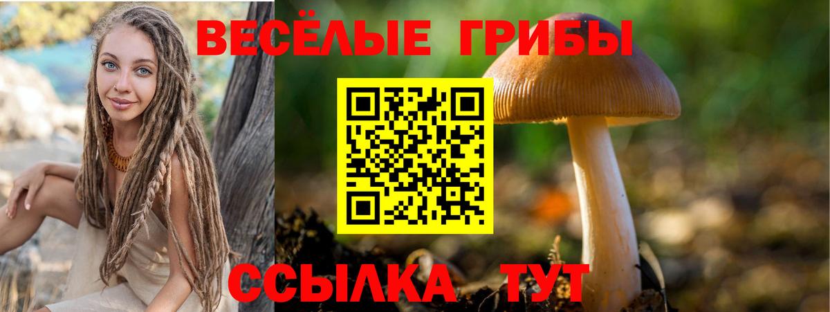 Псилоцибиновые грибы прущие грибы  Вход с VPN  Бузулук  Псилоцибиновые грибы MAGIC MUSHROOMS 